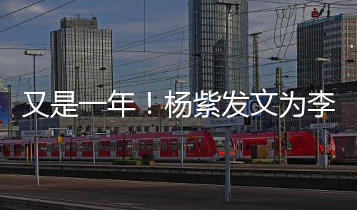 学李现乐 老同又是一年杨文为紫发日快庆生生